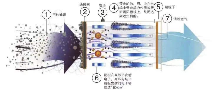 餐饮<a href='https://www.zzphkj.cn/fqcl/17.html' target='_blank'><u>油烟净化器</u></a>工艺流程